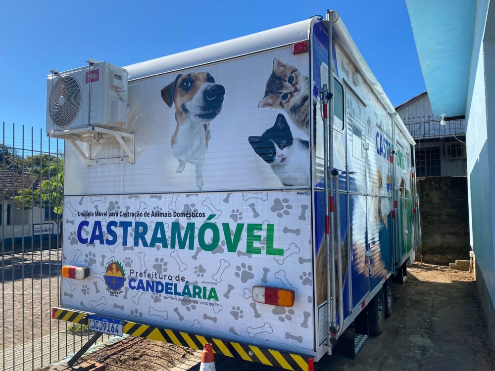 Prefeitura abre cadastro para castrao de animais